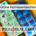 Grüne Hornissenlaschen new02